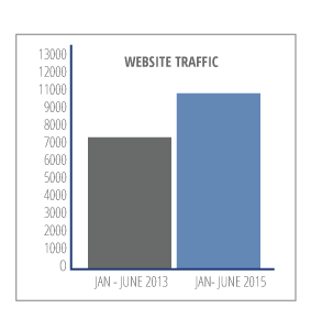 medicalpractice_web_traffic.png