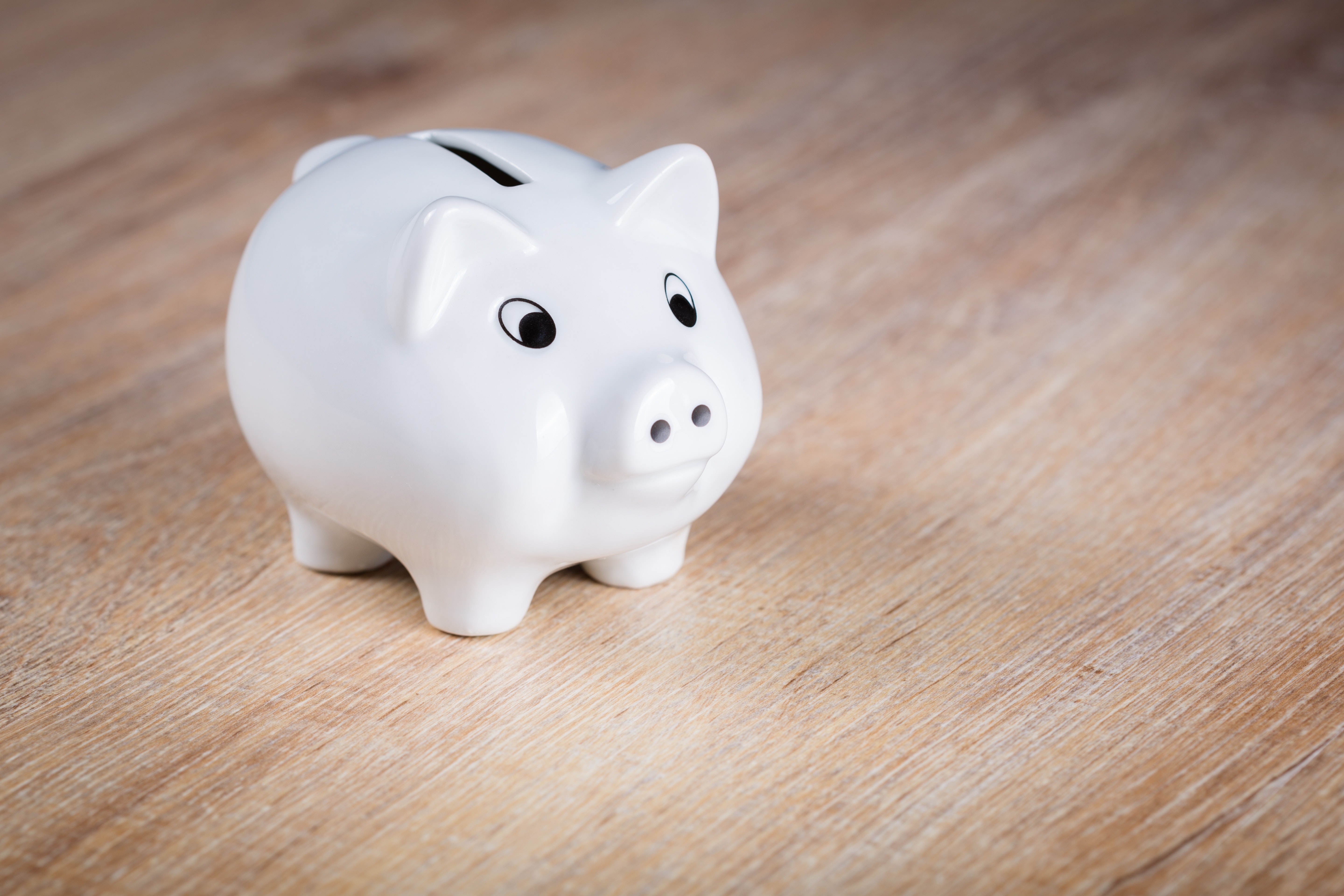 Piggy bank. Свинья-копилка. Копилка Свинка. Копилка Свинка фарфоровая. Копилка свинья белая.