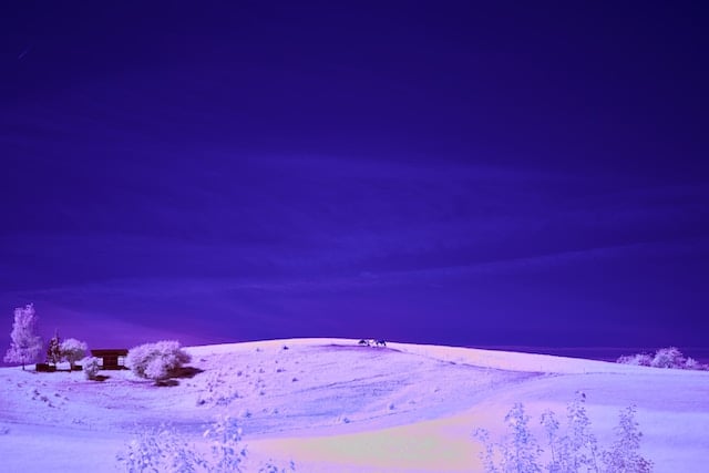 nature-snow